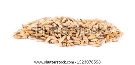 Malted barley grains, isolated on white background. Barley seed close up. Royalty-Free Stock Photo #1523078558