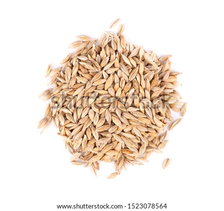 Malted barley grains, isolated on white background. Barley seed close up. Top view. Macro. Royalty-Free Stock Photo #1523078564