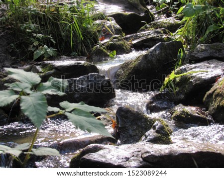 Spring water running over rocks in the Ural forest.