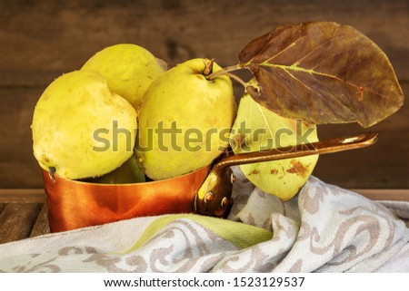 Whole quinces with fluffy skin placed in a copper pan to make old-fashioned jam with a gray and green tea towel on a wooden background and table - vintage and rustic