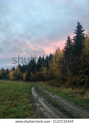 Forest landscape in October. Kirov region. Russia.