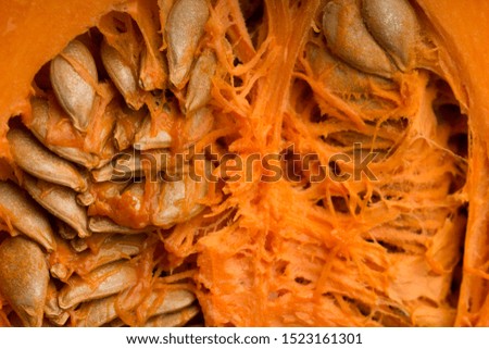 Pumpkin seeds macro . fresh ripe pumpkin and seeds. Food sources of zinc