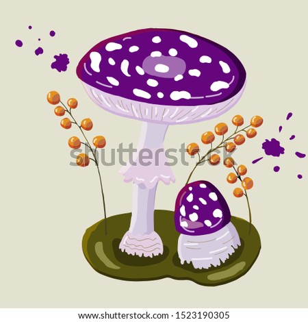 Fly agaric vector illustration. Poisonous mushrooms grow on green grass with berries. Purple and yellow colours