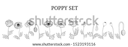 Decorative vector black poppy flowers and leaves in hand draw sketch style, design element. Floral decoration for invitations, greeting cards, banners. 