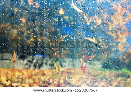 rain window autumn park branches leaves yellow / abstract autumn background, landscape in a rainy window, weather October rain