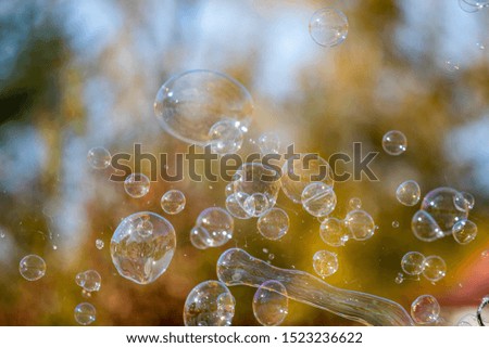 Soap bubbles on a background of trees, blurred winter background.
