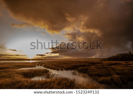 awesome sunset in of latvian swamps