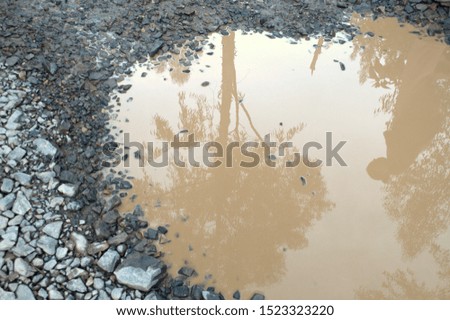 Reflection of a tree in a puddle.
Concept: autumn, rain