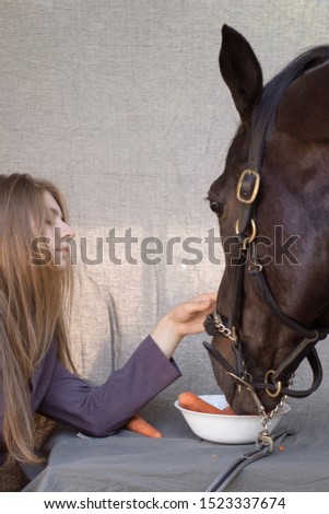 woman in a suit feeds a horse from a plate with carrots photo