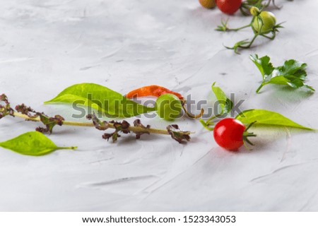 Vegetables and greens. Tomatoes, peppers, basil, spices, berries on a gray background