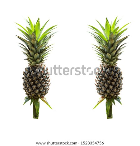 fresh pineapple on white background,isolated