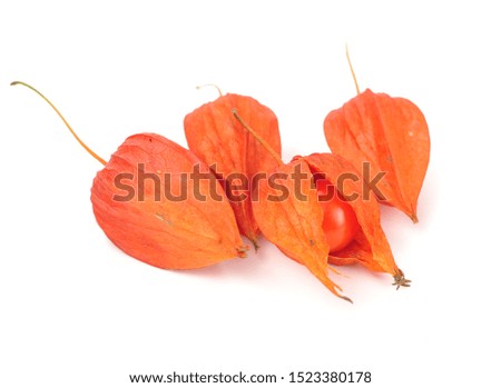 Exotic fresh orange physalis isolated on white background stock photo