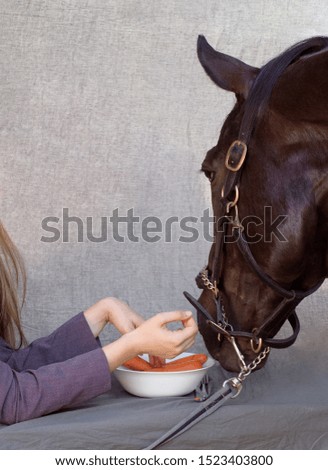 Pictures woman and horse feast with carrots