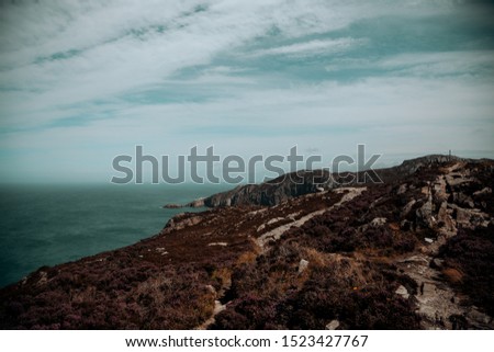 ocean seen from a beautiful cliff with its stunning vegetation
