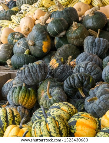 Pumpkins, gourds at a farm stand / farmer market.  Autumn harvest and seasonal background pictures for Halloween and Thanksgiving.