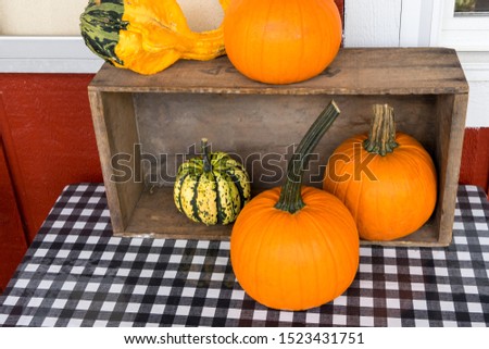 Pumpkins, gourds at a farm stand / farmer market.  Autumn harvest and seasonal background pictures for Halloween and Thanksgiving.  Checkerboard table cloth and table display.