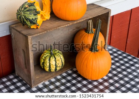 Pumpkins, gourds at a farm stand / farmer market.  Autumn harvest and seasonal background pictures for Halloween and Thanksgiving.  Checkerboard table cloth and table display.