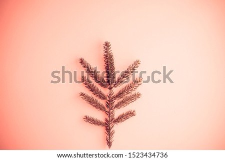 Minimalistic Christmas tree made of evergreen fir plant on pink background, retro style. Christmas, winter, new year concept. Flat lay, top view, copy space 