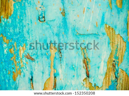 Blue and yellow grunge textured wall. Copy space