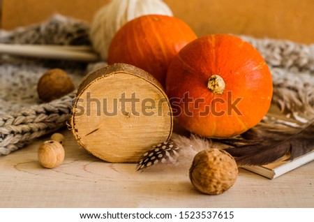 Still life with pumpkin, wooden ring and nuts. Warm season photo for Thanksgiving.