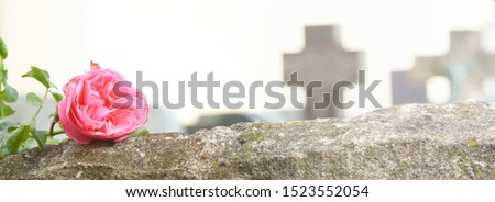Grave with rose on church yard, Banner, Header                          