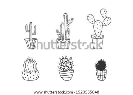 cactus in pots. eps10 vector illustration. art line. hand drawing
