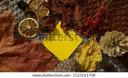 Beautiful autumn leaves with blank card 