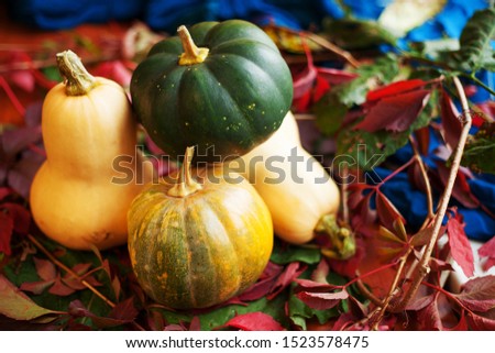 Various pumpkins with red leaves decor. Fall pictures