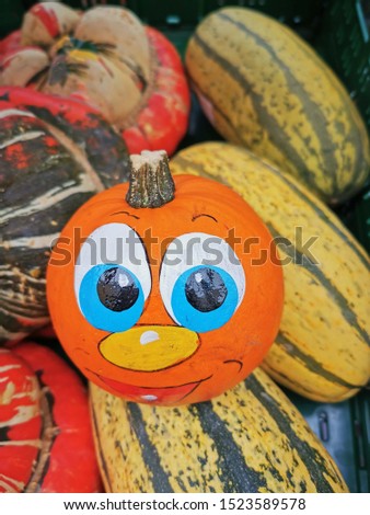Funny halloween pumpkin with a happy smiling face in a box on halloween. colorful pumpkins in a box.