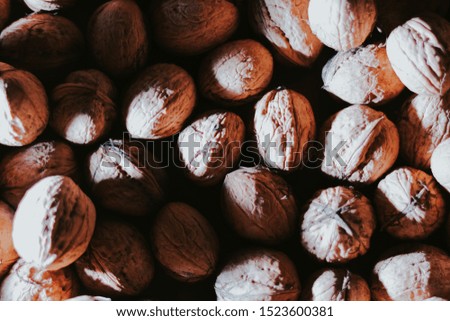 photograph stock of fresh walnuts 