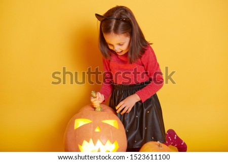 Close up portrait of cute little girl wearing cat costume, posing with pumpkins, looking down on her Jack o'Lantern, celebrating Halloween, charming kid isolated on yellow background. Hallowee concept
