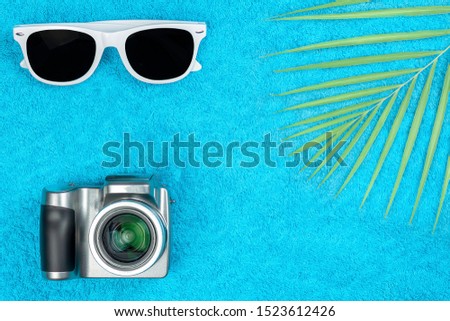 Sunglasses, a camera and a fern lie on a towel.