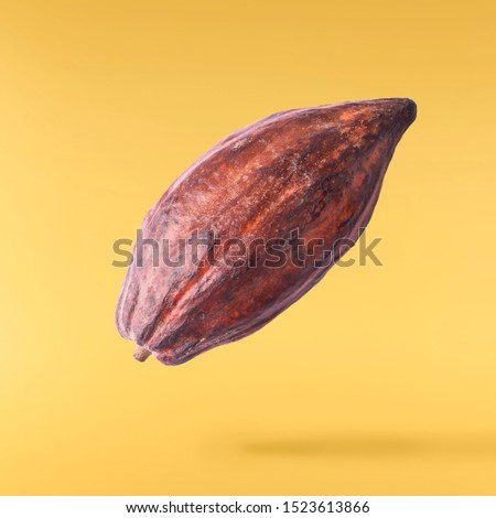 Cocoa pod flying in the air. Cocoa pod levitate on yellow background. High resolution image. Levitation concept.
