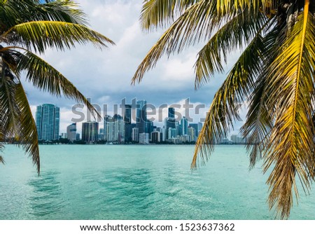 View on city of Miami (Cityscape, downtown, skyscrapers), palms, ocean, cloudy sky. USA, Florida