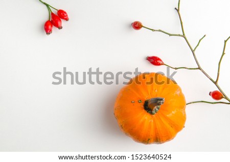 Autumn still life. Background with pumpkins and berries
