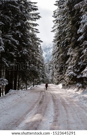 A traveler alone walks on a road in the mountains, winter snow lies on the sidelines,