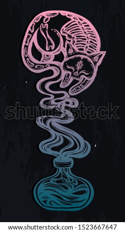 Vector composition with mystical cat skeleton and  bottle of potion, background  chalkboard, t-shirt design