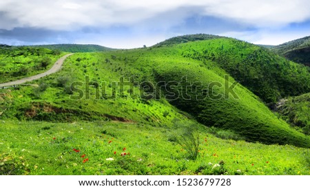 Beautiful green hills in Israel in springtime