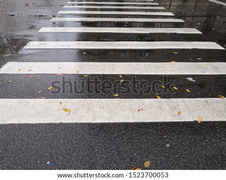 Zebra pedestrian crossing through a wet asphalt road on a rainy autumn day