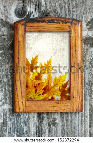 Old wooden frame with autumn leaves on a old wooden wall