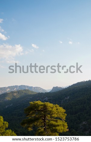 Beautiful lanscape of mountains and a nice tree