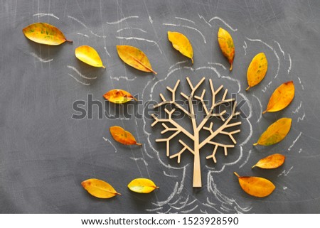 Concept background of tree sketch with autumn dry leaves over classroom blackboard
