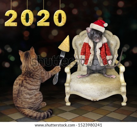 The cat feeds the rat in Santa Claus clothes with cheese at the party. The rat is sitting in a white armchair. 2020 new year cheese number.