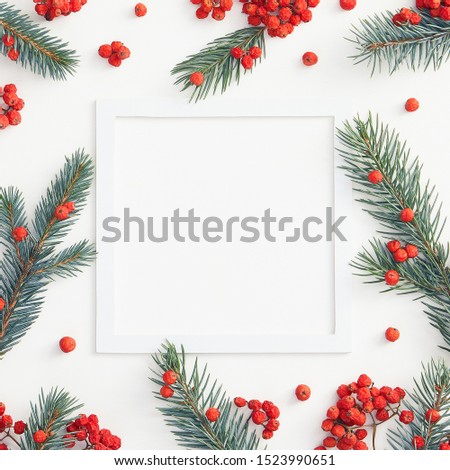 Christmas card holiday concept - Blue fir with red rowan berry on white background. Brochure christmas design with copy space. Christmas card with white frame for celebration decoration design.