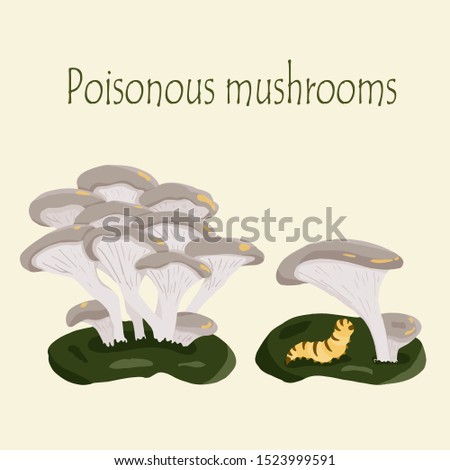 Poisonous mushrooms vector illustration set. Toadstools and inedible fungus design. Beige and green color