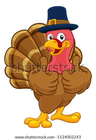 Pilgrim Turkey Thanksgiving bird animal cartoon character wearing a pilgrims hat and giving a thumbs up