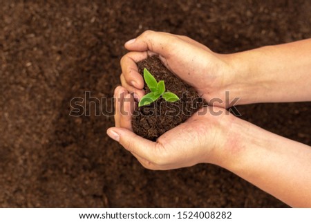 Hand holding green plant seedling on black fertile soil. Concept of care and protect planet, tree, forest, farming or beginning, holding of business, start of investment. Image. Royalty-Free Stock Photo #1524008282