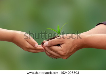Hands of child and father holding green plant seedling with black fertile soil. Concept of care and protect planet, tree, environment, family and generation love. Image. Royalty-Free Stock Photo #1524008303