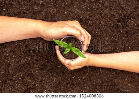 Hands of child and father holding green plant seedling with black fertile soil. Concept of care and protect planet, tree, environment, family and generation love. Image. Royalty-Free Stock Photo #1524008306