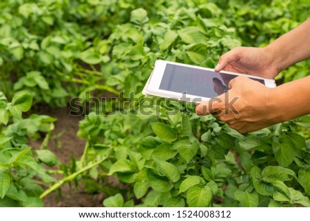 Hands of a man holding a tablet on a background of cultivated plants. Concept of smart agriculture and use of modern, mobile technologies in agriculture. Image. Royalty-Free Stock Photo #1524008312